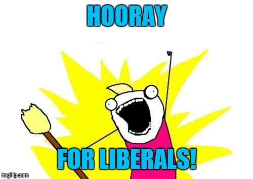 X All The Y Meme | HOORAY FOR LIBERALS! | image tagged in memes,x all the y | made w/ Imgflip meme maker