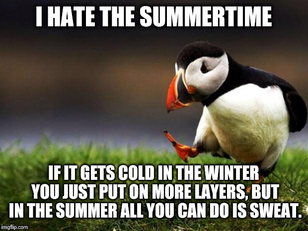 Unpopular Opinion Puffin Meme |  I HATE THE SUMMERTIME; IF IT GETS COLD IN THE WINTER YOU JUST PUT ON MORE LAYERS, BUT IN THE SUMMER ALL YOU CAN DO IS SWEAT. | image tagged in memes,unpopular opinion puffin | made w/ Imgflip meme maker