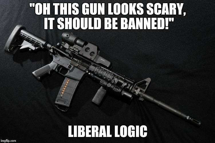Black Guns Matter |  "OH THIS GUN LOOKS SCARY, IT SHOULD BE BANNED!"; LIBERAL LOGIC | image tagged in black guns matter | made w/ Imgflip meme maker