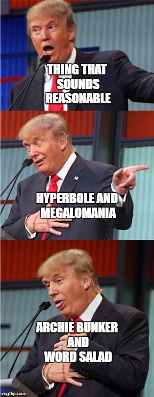 Dissection of a Trump Speech | THING THAT SOUNDS REASONABLE; HYPERBOLE AND MEGALOMANIA; ARCHIE BUNKER AND WORD SALAD | image tagged in bad pun trump | made w/ Imgflip meme maker
