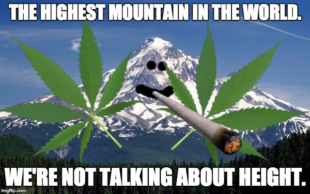 THE HIGHEST MOUNTAIN IN THE WORLD. WE'RE NOT TALKING ABOUT HEIGHT. | image tagged in high | made w/ Imgflip meme maker