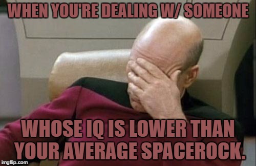 Captain Picard Facepalm Meme | WHEN YOU'RE DEALING W/ SOMEONE; WHOSE IQ IS LOWER THAN YOUR AVERAGE SPACEROCK. | image tagged in memes,captain picard facepalm | made w/ Imgflip meme maker