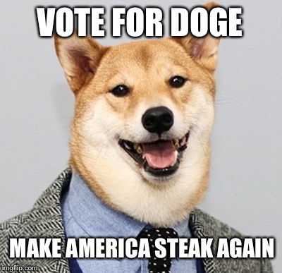 He's for the Carnivore Majority | VOTE FOR DOGE; MAKE AMERICA STEAK AGAIN | image tagged in doge,suit | made w/ Imgflip meme maker