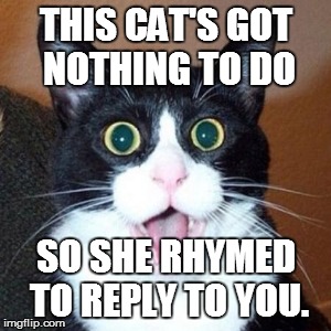 THIS CAT'S GOT NOTHING TO DO SO SHE RHYMED TO REPLY TO YOU. | made w/ Imgflip meme maker