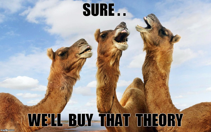 SURE . . WE'LL  BUY  THAT  THEORY | made w/ Imgflip meme maker