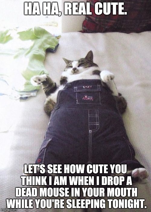 Ha ha, real cute | HA HA, REAL CUTE. LET'S SEE HOW CUTE YOU THINK I AM WHEN I DROP A DEAD MOUSE IN YOUR MOUTH WHILE YOU'RE SLEEPING TONIGHT. | image tagged in memes,fat cat,cats,cat,cat humor,pets | made w/ Imgflip meme maker