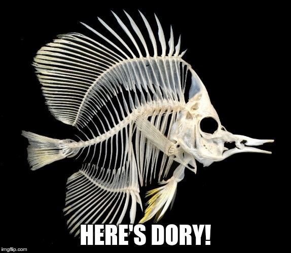 HERE'S DORY! | made w/ Imgflip meme maker