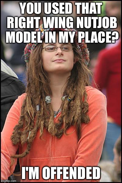 Libturd | YOU USED THAT RIGHT WING NUTJOB MODEL IN MY PLACE? I'M OFFENDED | image tagged in libturd | made w/ Imgflip meme maker