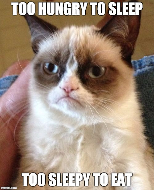 Grumpy Cat Meme | TOO HUNGRY TO SLEEP; TOO SLEEPY TO EAT | image tagged in memes,grumpy cat | made w/ Imgflip meme maker