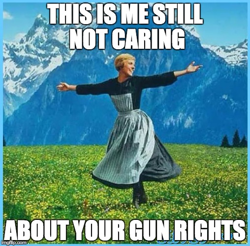 This is me not caring | THIS IS ME STILL NOT CARING; ABOUT YOUR GUN RIGHTS | image tagged in this is me not caring | made w/ Imgflip meme maker