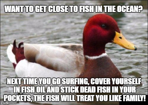 One particular type of fish will REALLY like you, which will allow you to even touch them. | WANT TO GET CLOSE TO FISH IN THE OCEAN? NEXT TIME YOU GO SURFING, COVER YOURSELF IN FISH OIL AND STICK DEAD FISH IN YOUR POCKETS, THE FISH WILL TREAT YOU LIKE FAMILY! | image tagged in memes,malicious advice mallard,beach,ocean,fish,sharks | made w/ Imgflip meme maker