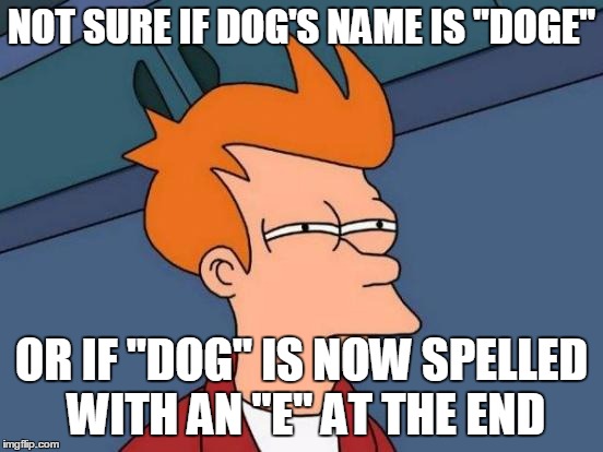 Futurama Fry Meme | NOT SURE IF DOG'S NAME IS "DOGE" OR IF "DOG" IS NOW SPELLED WITH AN "E" AT THE END | image tagged in memes,futurama fry | made w/ Imgflip meme maker
