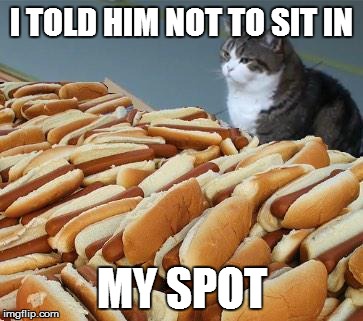 Too many hot dogs | I TOLD HIM NOT TO SIT IN; MY SPOT | image tagged in too many hot dogs | made w/ Imgflip meme maker