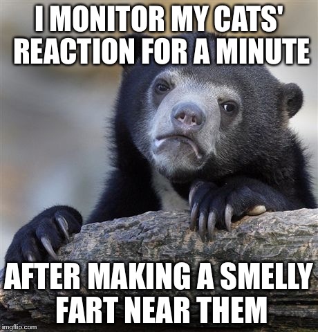 Confession Bear Meme |  I MONITOR MY CATS' REACTION FOR A MINUTE; AFTER MAKING A SMELLY FART NEAR THEM | image tagged in memes,confession bear | made w/ Imgflip meme maker