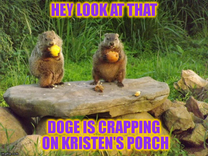 HEY LOOK AT THAT DOGE IS CRAPPING ON KRISTEN'S PORCH | made w/ Imgflip meme maker
