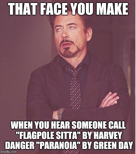 In my life I've heard it called such 6 times. Once by a radio DJ. Apparently this is a common misconception. | THAT FACE YOU MAKE; WHEN YOU HEAR SOMEONE CALL "FLAGPOLE SITTA" BY HARVEY DANGER "PARANOIA" BY GREEN DAY | image tagged in memes,face you make robert downey jr | made w/ Imgflip meme maker