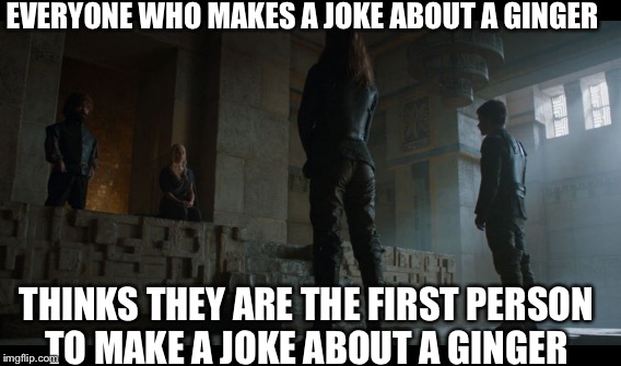 Tyrian Lannister  | EVERYONE WHO MAKES A JOKE ABOUT A GINGER; THINKS THEY ARE THE FIRST PERSON TO MAKE A JOKE ABOUT A GINGER | image tagged in funny | made w/ Imgflip meme maker