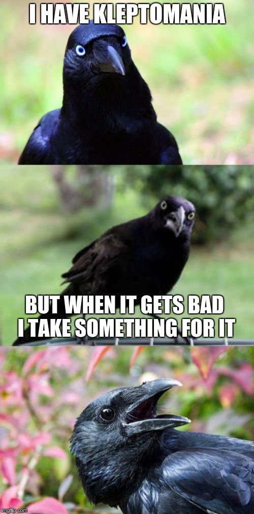 Preferably something shiny | I HAVE KLEPTOMANIA; BUT WHEN IT GETS BAD I TAKE SOMETHING FOR IT | image tagged in bad pun crow,bad puns | made w/ Imgflip meme maker