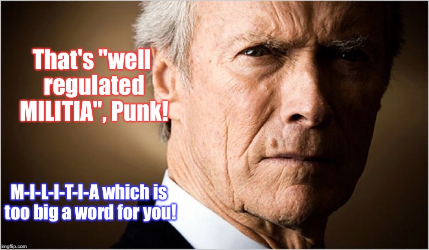 That's "well regulated MILITIA", Punk! M-I-L-I-T-I-A which is too big a word for you! | made w/ Imgflip meme maker