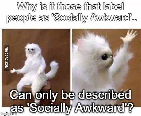 socially awkward
 | Why is it those that label people as 'Socially Awkward'.. Can only be described as 'Socially Awkward'? | image tagged in strange wtf cat,social misfit,odd social beat,socially awkward | made w/ Imgflip meme maker