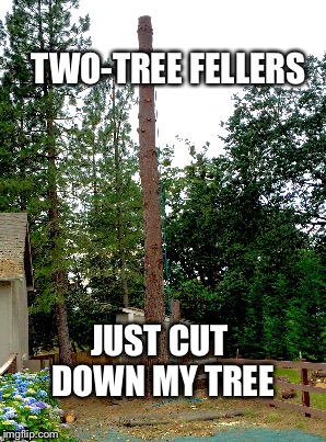 TWO-TREE FELLERS JUST CUT DOWN MY TREE | made w/ Imgflip meme maker