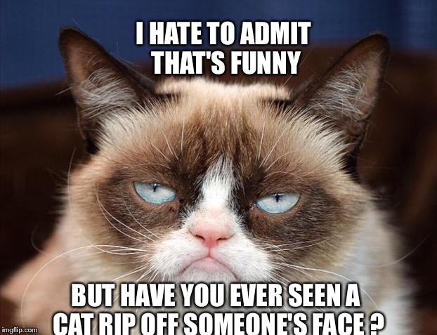 I HATE TO ADMIT THAT'S FUNNY BUT HAVE YOU EVER SEEN A CAT RIP OFF SOMEONE'S FACE ? | made w/ Imgflip meme maker