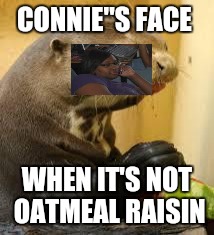 Disgusted Otter | CONNIE''S FACE; WHEN IT'S NOT OATMEAL RAISIN | image tagged in disgusted otter | made w/ Imgflip meme maker
