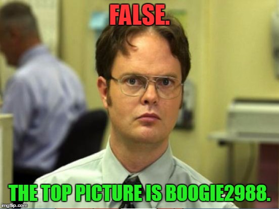 FALSE. THE TOP PICTURE IS BOOGIE2988. | made w/ Imgflip meme maker