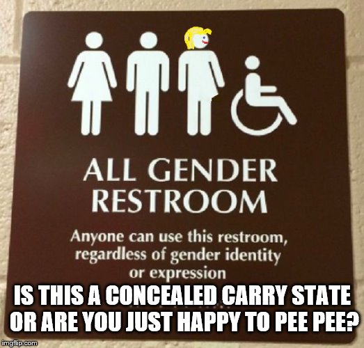 All Gender Bathroom | IS THIS A CONCEALED CARRY STATE OR ARE YOU JUST HAPPY TO PEE PEE? | image tagged in all gender bathroom,hillary clinton,memes,funny,nsfw,transgender | made w/ Imgflip meme maker