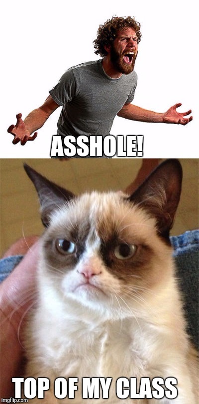 ASSHOLE! TOP OF MY CLASS | image tagged in grumpy cat,memes | made w/ Imgflip meme maker