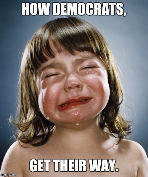 Crying like a baby. | HOW DEMOCRATS, GET THEIR WAY. | image tagged in democrats,losers,memes,funny | made w/ Imgflip meme maker