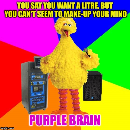 Wrong lyrics karaoke big bird | YOU SAY YOU WANT A LITRE, BUT YOU CAN'T SEEM TO MAKE-UP YOUR MIND; PURPLE BRAIN | image tagged in wrong lyrics karaoke big bird,memes,one does not simply | made w/ Imgflip meme maker