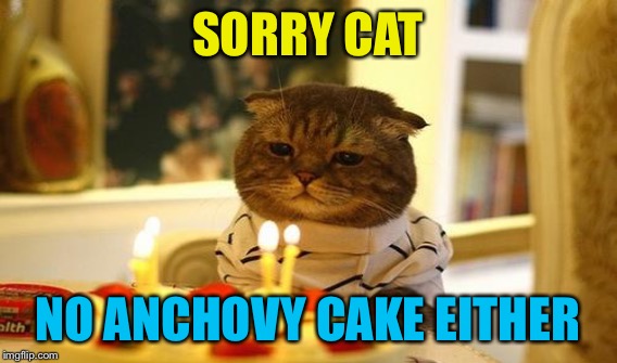SORRY CAT NO ANCHOVY CAKE EITHER | made w/ Imgflip meme maker