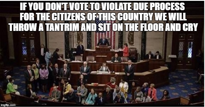 Special elected snowflakes  | IF YOU DON'T VOTE TO VIOLATE DUE PROCESS FOR THE CITIZENS OF THIS COUNTRY WE WILL THROW A TANTRIM AND SIT ON THE FLOOR AND CRY | image tagged in neverhillary | made w/ Imgflip meme maker