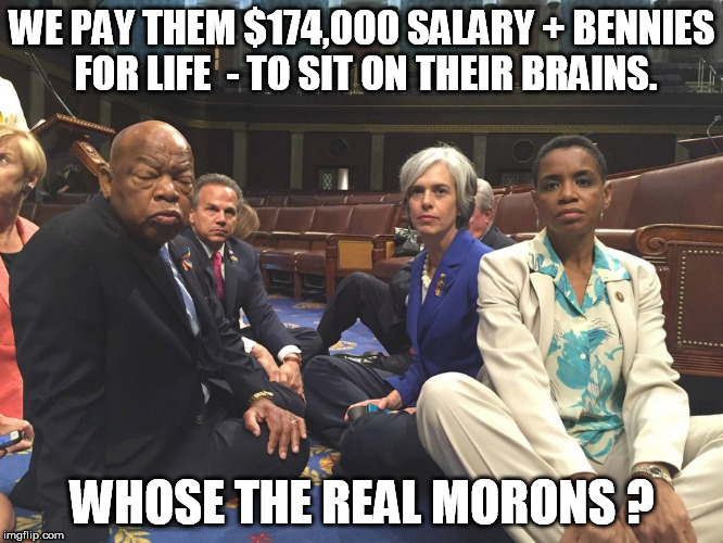 Morons | WE PAY THEM $174,000 SALARY + BENNIES FOR LIFE  - TO SIT ON THEIR BRAINS. WHOSE THE REAL MORONS ? | image tagged in congress,house sit 101 | made w/ Imgflip meme maker