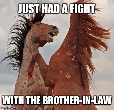 JUST HAD A FIGHT WITH THE BROTHER-IN-LAW | made w/ Imgflip meme maker