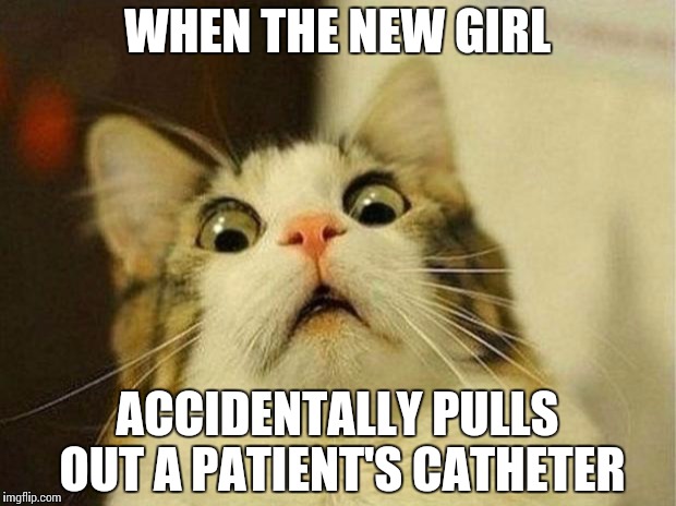 Scared Cat | WHEN THE NEW GIRL; ACCIDENTALLY PULLS OUT A PATIENT'S CATHETER | image tagged in memes,scared cat | made w/ Imgflip meme maker
