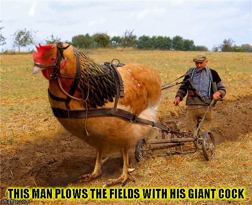 Giant Cock | THIS MAN PLOWS THE FIELDS WITH HIS GIANT COCK | image tagged in funny,cock,giants,memes,farmer | made w/ Imgflip meme maker