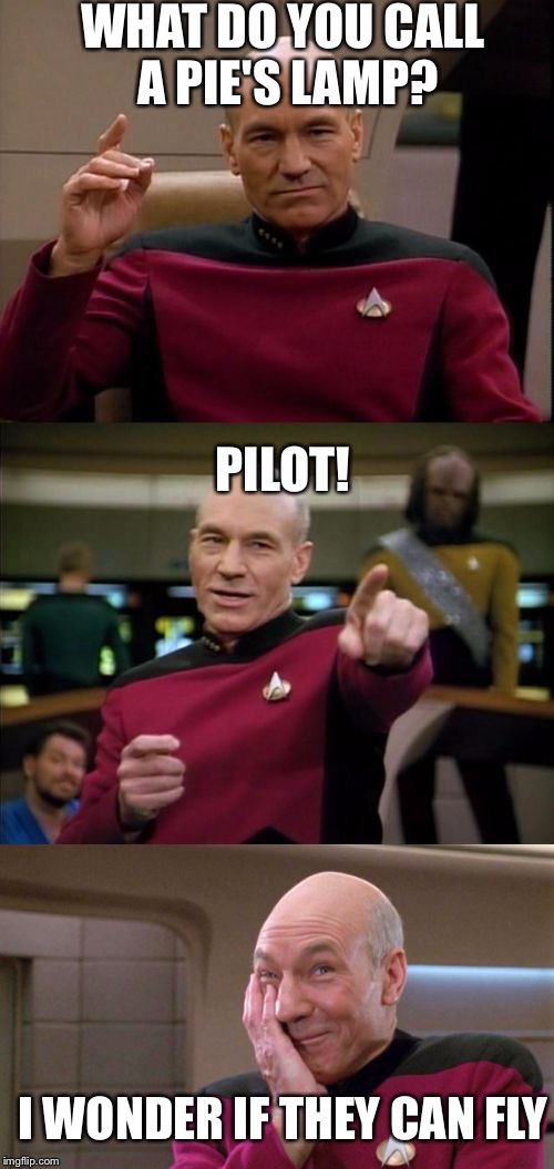 Bad Pun Picard | WHAT DO YOU CALL A PIE'S LAMP? PILOT! I WONDER IF THEY CAN FLY | image tagged in bad pun picard,funny,meme,memes | made w/ Imgflip meme maker