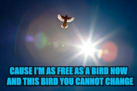 CAUSE I'M AS FREE AS A BIRD NOW 
AND THIS BIRD YOU CANNOT CHANGE | made w/ Imgflip meme maker