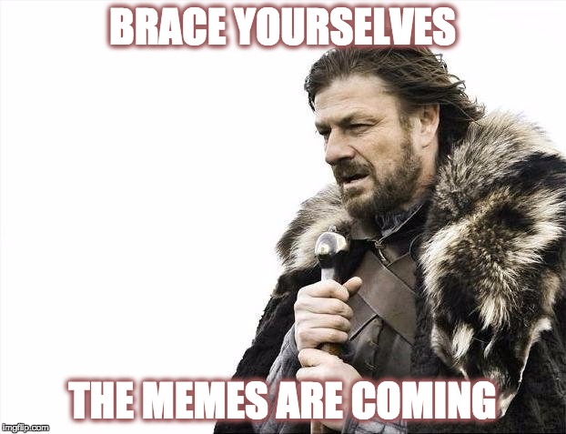 First Meme! (Makes Sense, Doesn't it?)  :^] | BRACE YOURSELVES; THE MEMES ARE COMING | image tagged in memes,brace yourselves x is coming | made w/ Imgflip meme maker