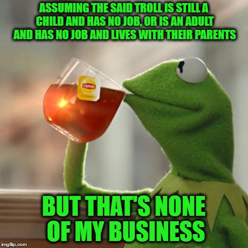 But That's None Of My Business Meme | ASSUMING THE SAID TROLL IS STILL A CHILD AND HAS NO JOB, OR IS AN ADULT AND HAS NO JOB AND LIVES WITH THEIR PARENTS BUT THAT'S NONE OF MY BU | image tagged in memes,but thats none of my business,kermit the frog | made w/ Imgflip meme maker