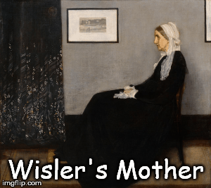 Wisler's Mother | image tagged in gifs,wisler's mother,braves,atlanta,wisler | made w/ Imgflip images-to-gif maker