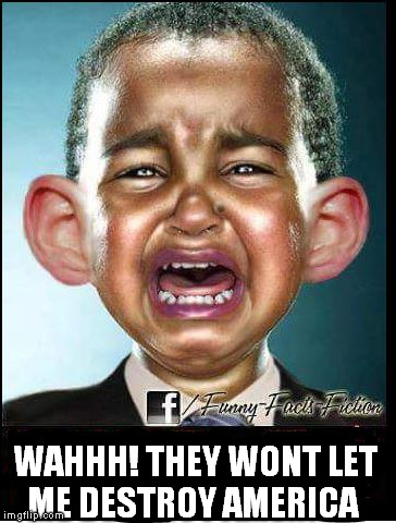 WAHHH! THEY WONT LET ME DESTROY AMERICA | image tagged in baby obumma | made w/ Imgflip meme maker