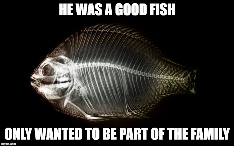 HE WAS A GOOD FISH ONLY WANTED TO BE PART OF THE FAMILY | made w/ Imgflip meme maker