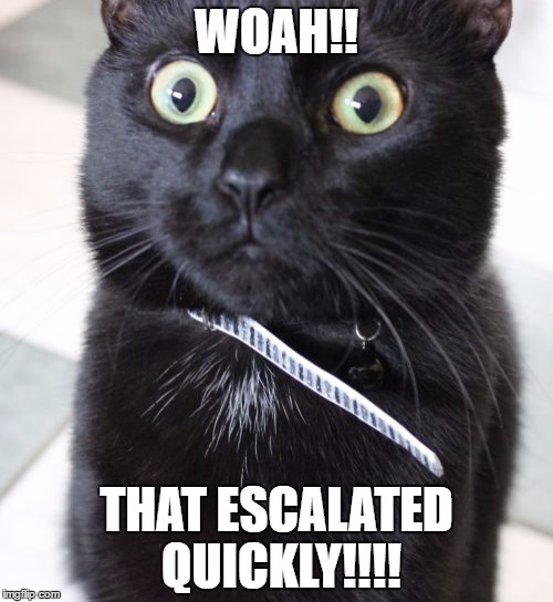 Woah Kitty Meme | WOAH!! THAT ESCALATED QUICKLY!!!! | image tagged in memes,woah kitty | made w/ Imgflip meme maker
