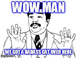 WOW MAN WE GOT A BADASS CAT OVER HERE | image tagged in memes,neil degrasse tyson | made w/ Imgflip meme maker