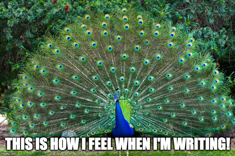 Peacock | THIS IS HOW I FEEL WHEN I'M WRITING! | image tagged in peacock | made w/ Imgflip meme maker