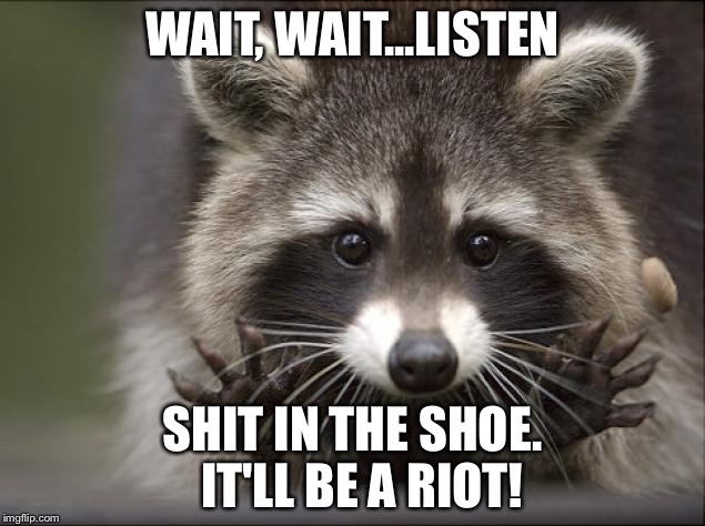 Jazz Hands Raccoon | WAIT, WAIT...LISTEN; SHIT IN THE SHOE.  IT'LL BE A RIOT! | image tagged in jazz hands raccoon | made w/ Imgflip meme maker