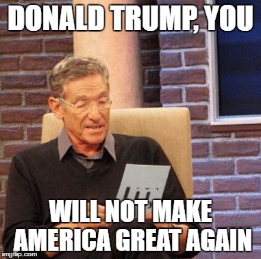 Maury Lie Detector Meme | DONALD TRUMP, YOU; WILL NOT MAKE AMERICA GREAT AGAIN | image tagged in memes,maury lie detector | made w/ Imgflip meme maker